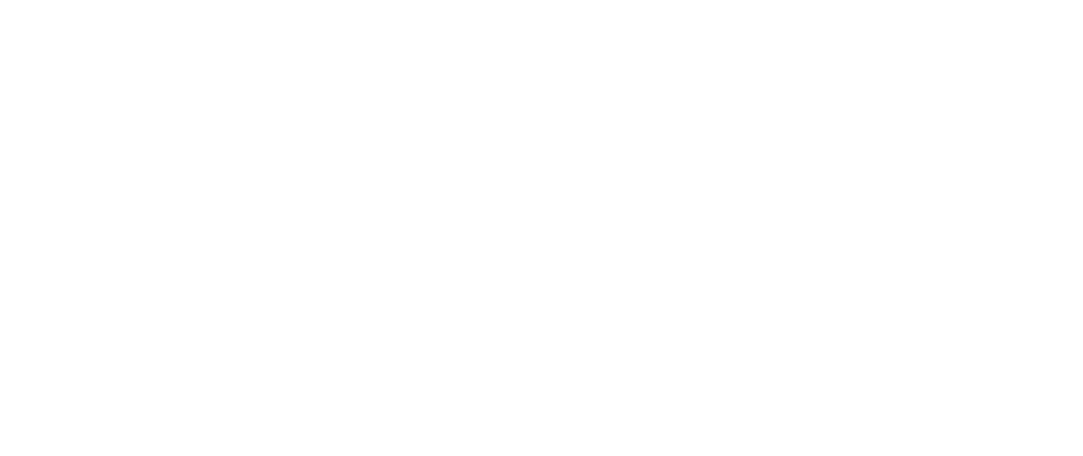 Partner logo 4