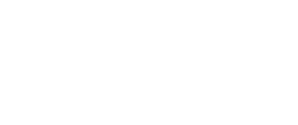 Partner logo 2